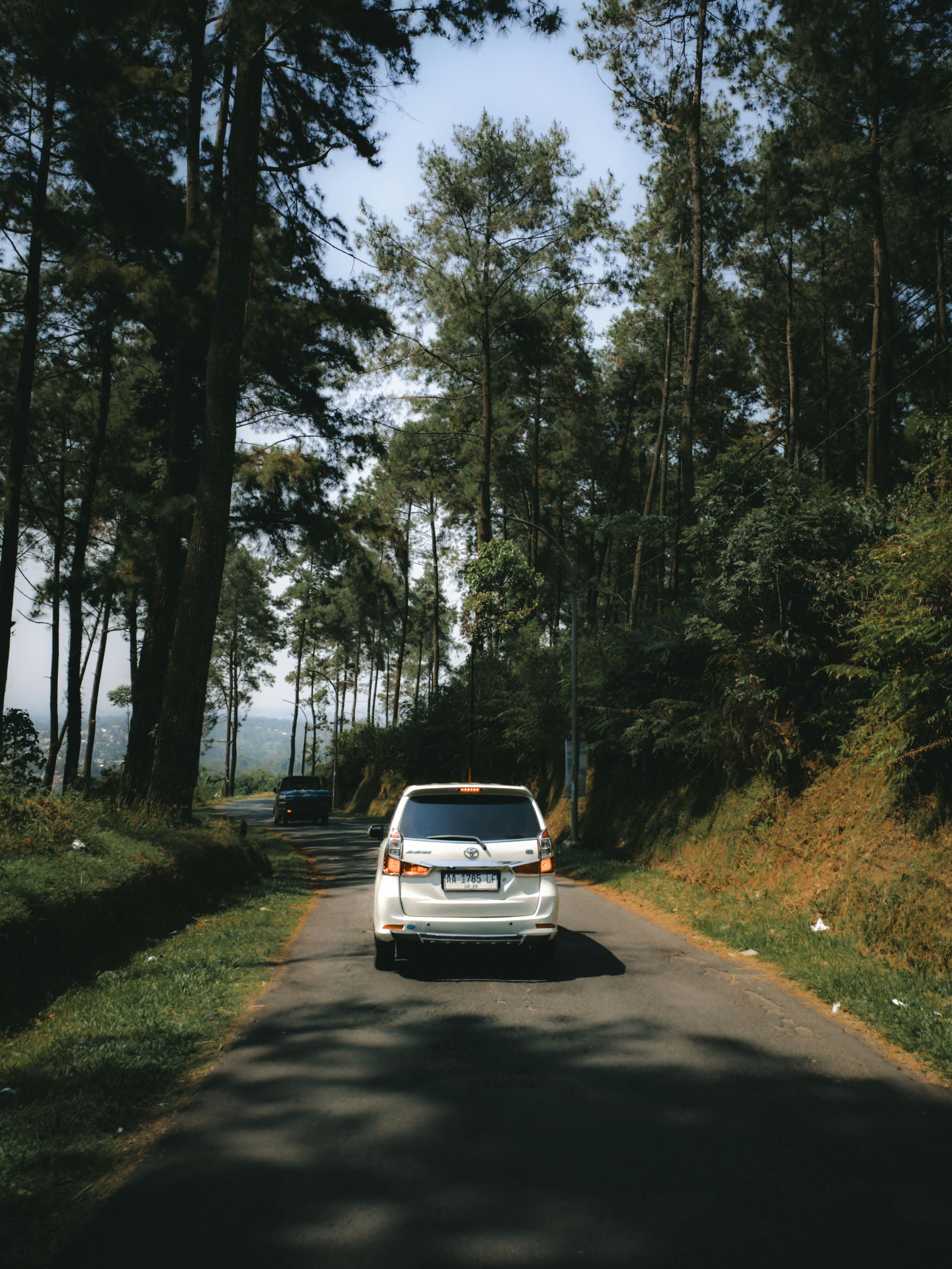 Природные туры